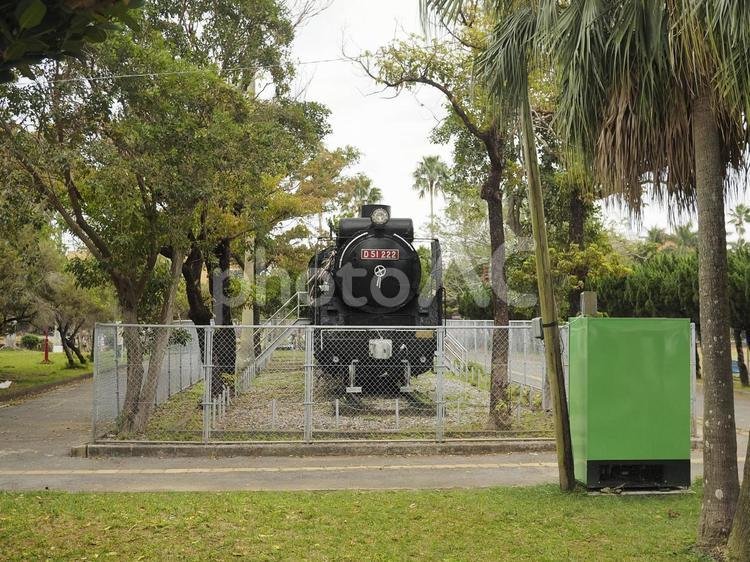 🌸 요기 공원(요기코엔) 이미지 7